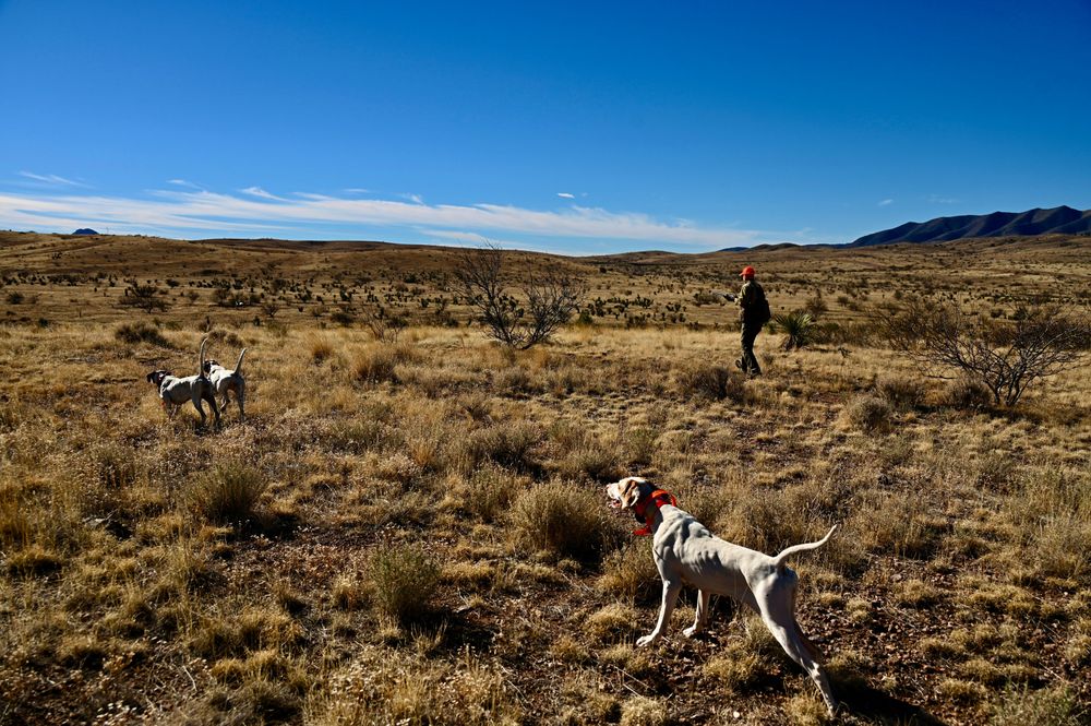 An Introduction to Arizona's El Coronado Ranch (Updated Sep 2024 ...
