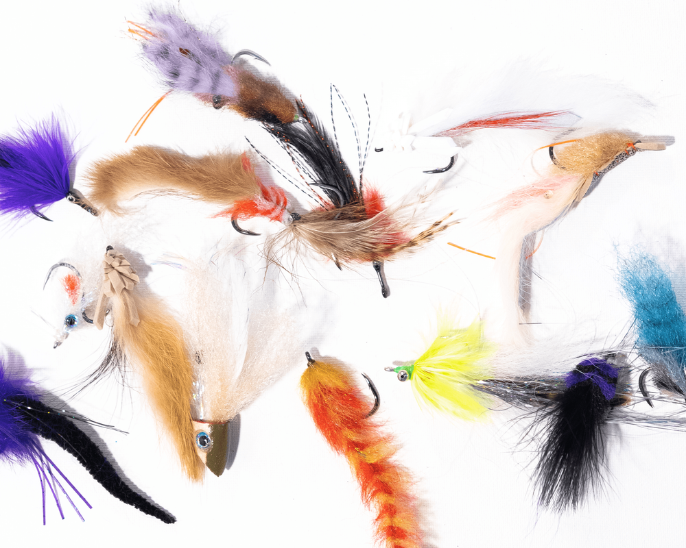 Best Baits, Lures, and Flies for Tarpon Fishing in the Florida Keys