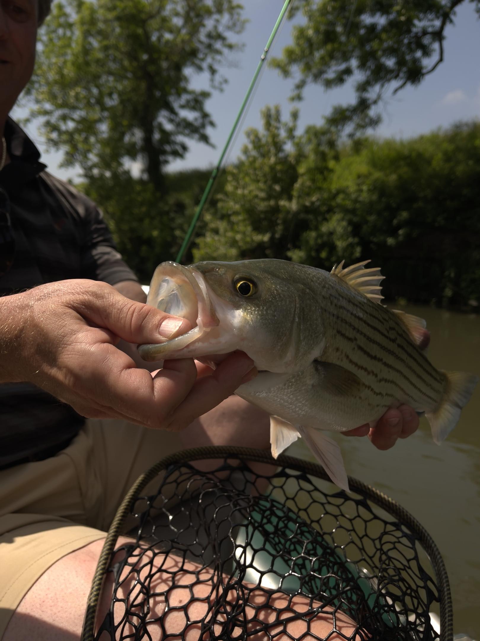 Featured banner image