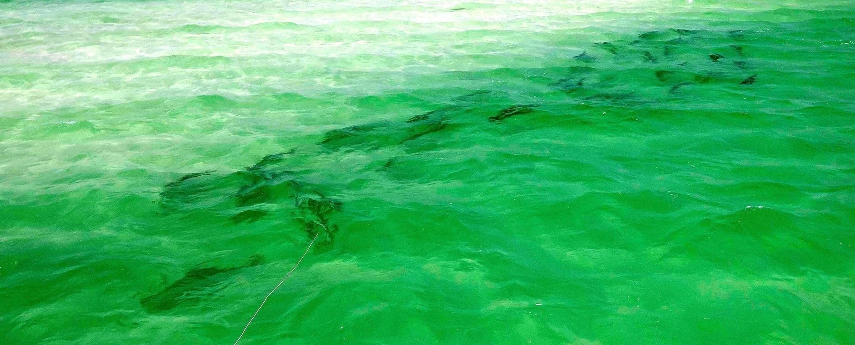 Featured banner image