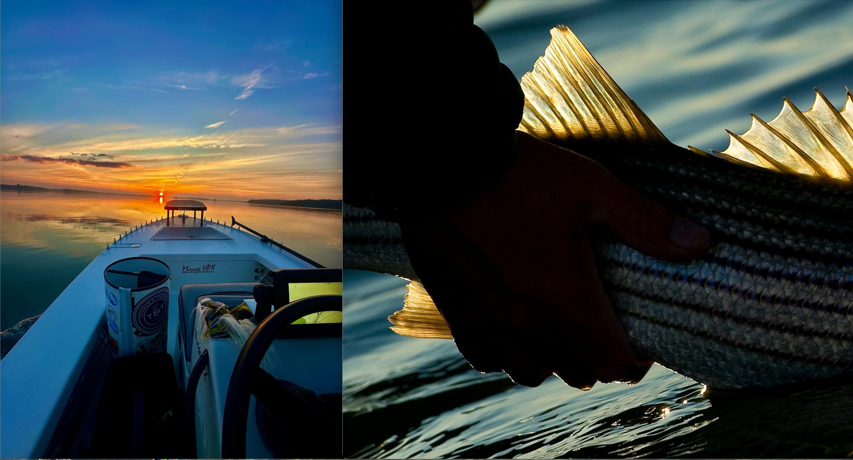 Featured banner image