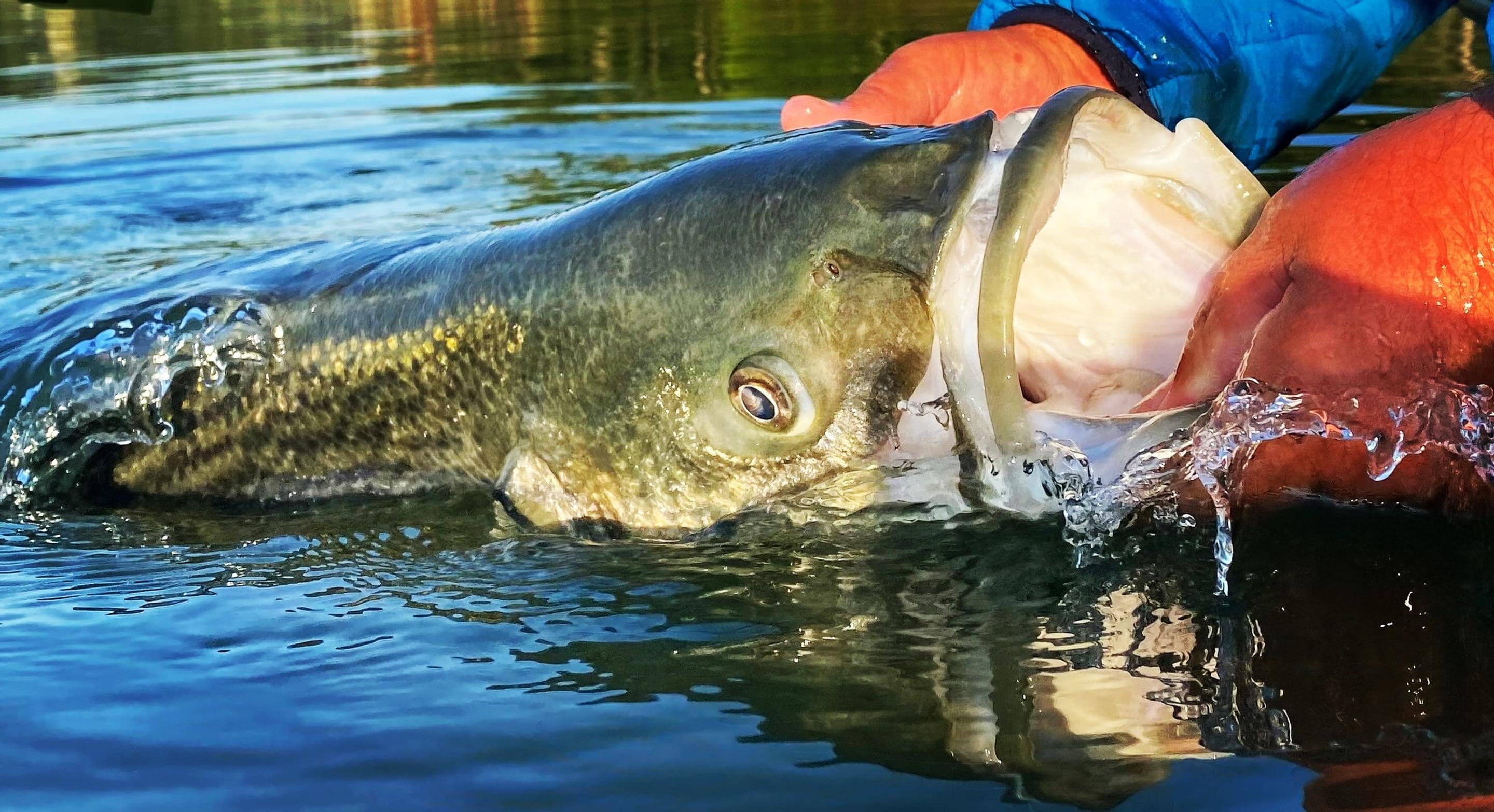 Featured banner image