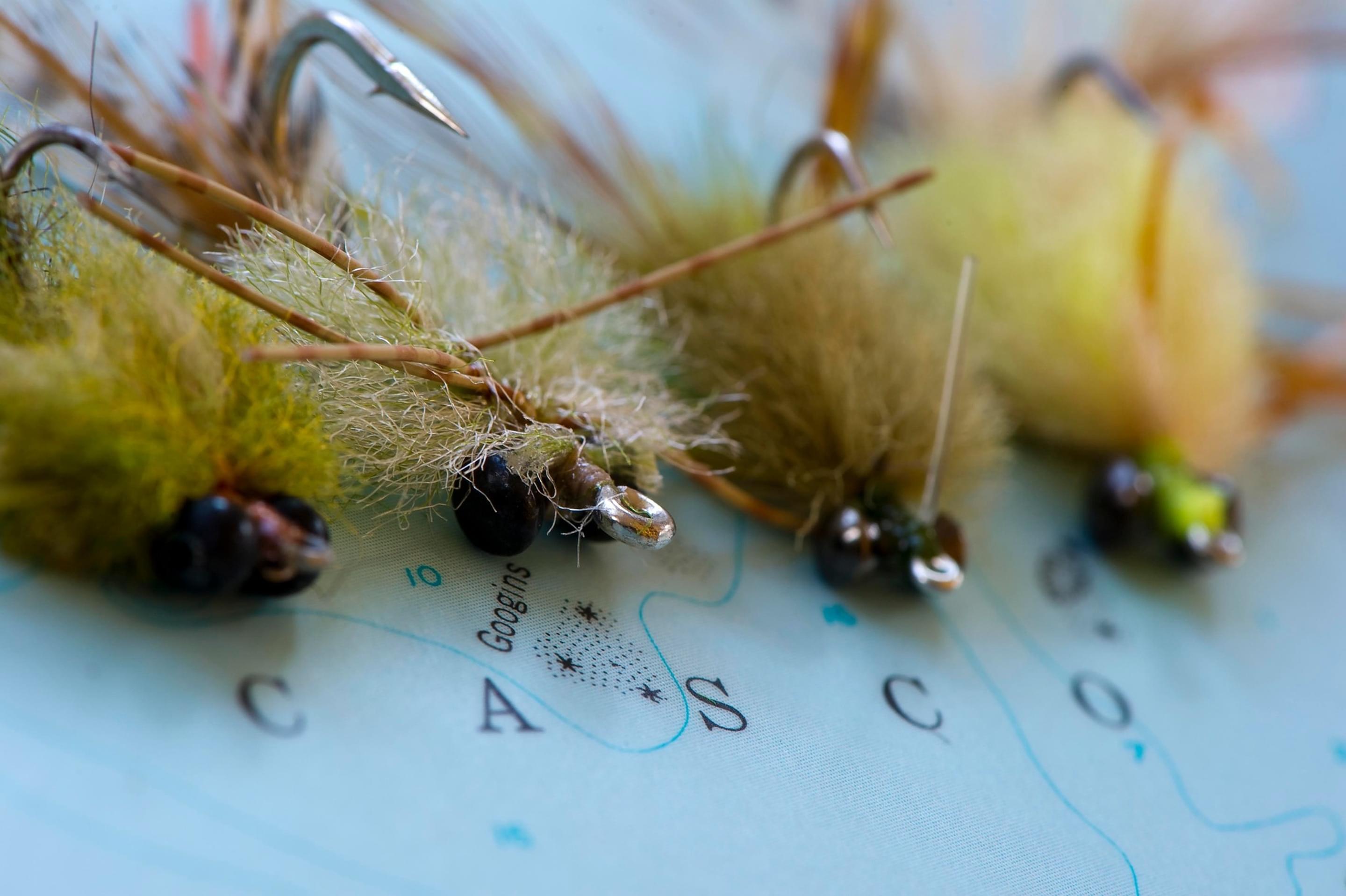 Featured banner image