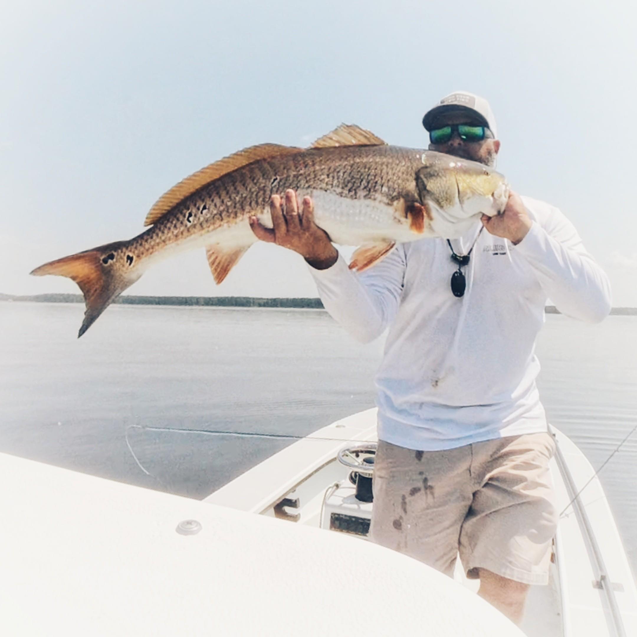 Featured banner image