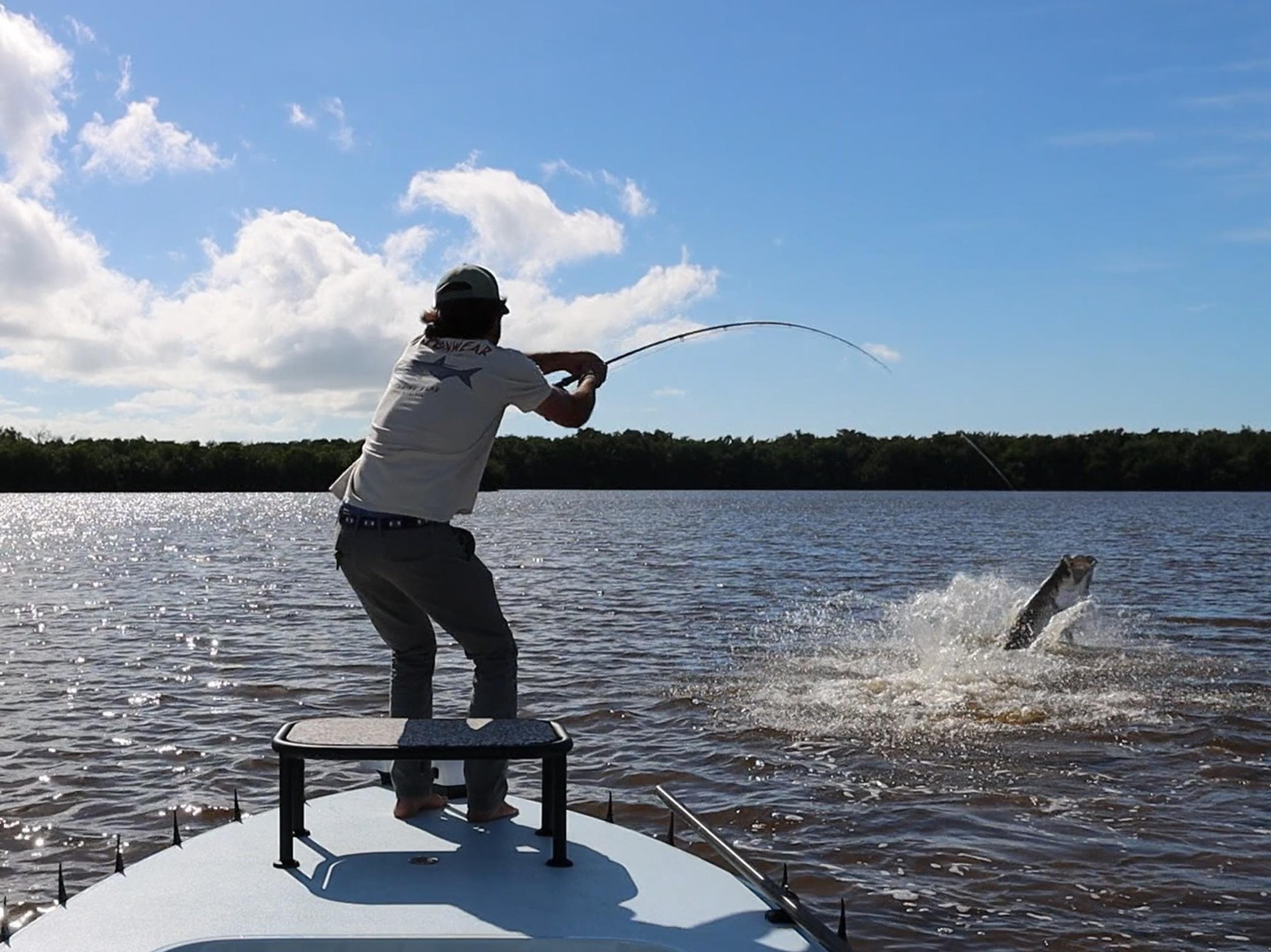 Featured banner image