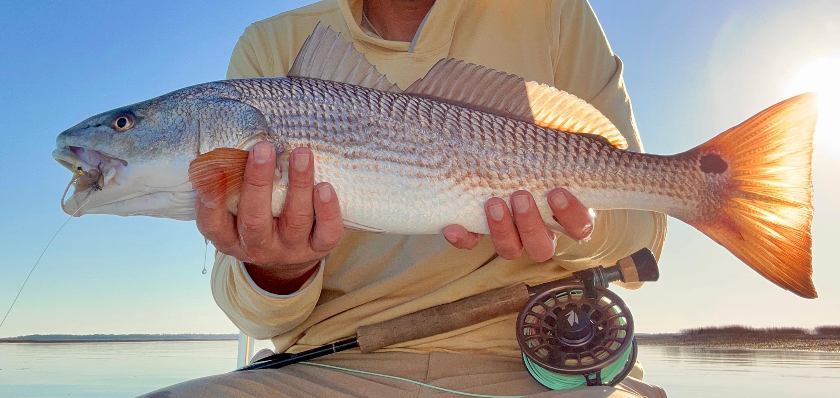 Featured banner image