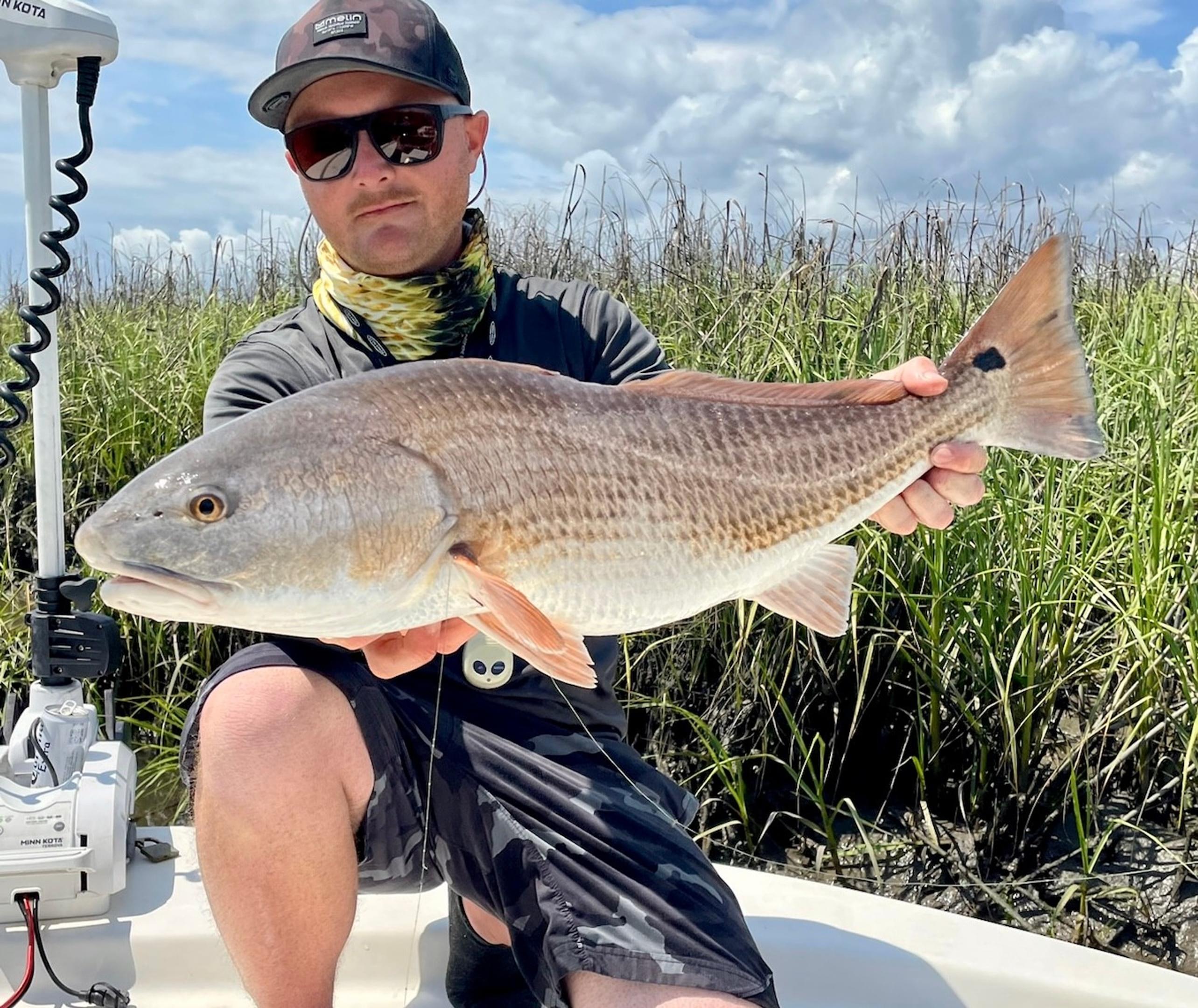 Featured banner image