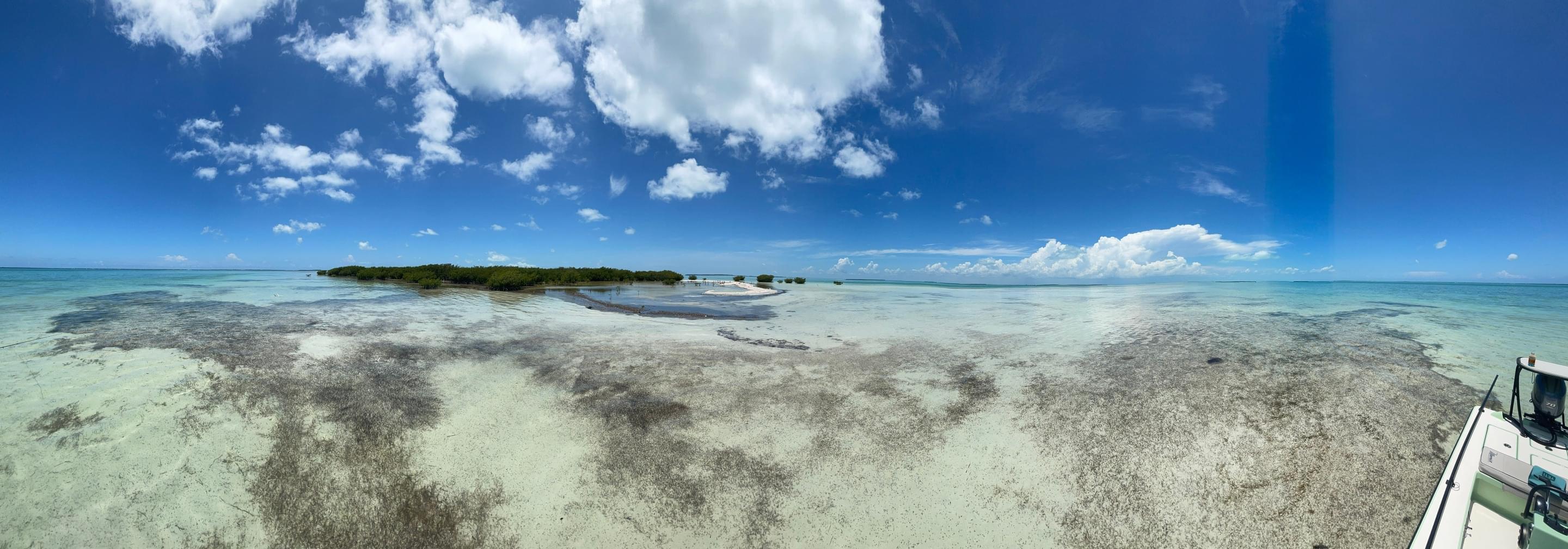 Featured banner image